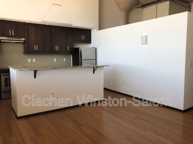 Winston Salem Condo: 675 N. Main St.