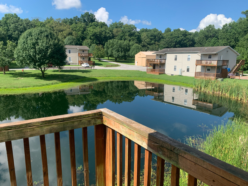 Carbondale Condo: 43 Chelsea Lane - 1