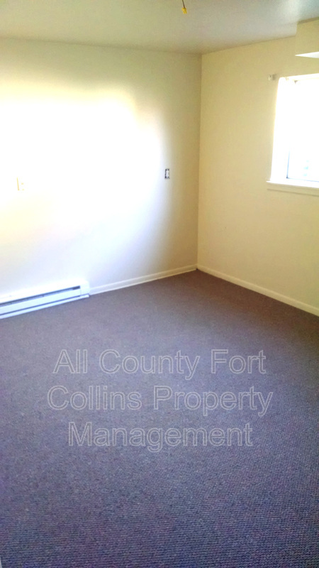 Main Rental Photo 12