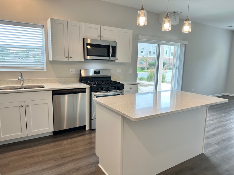 East Dundee Condo: 855 E Main St