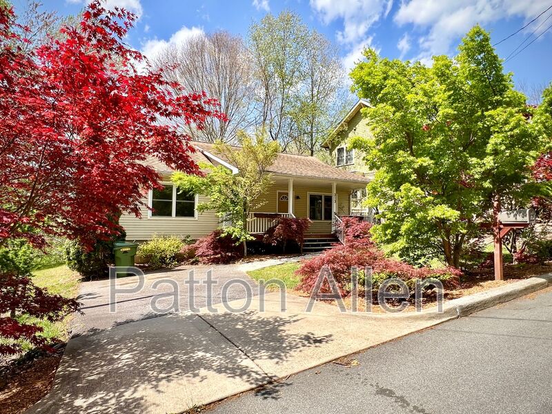 Asheville House: 313 Westover Drive