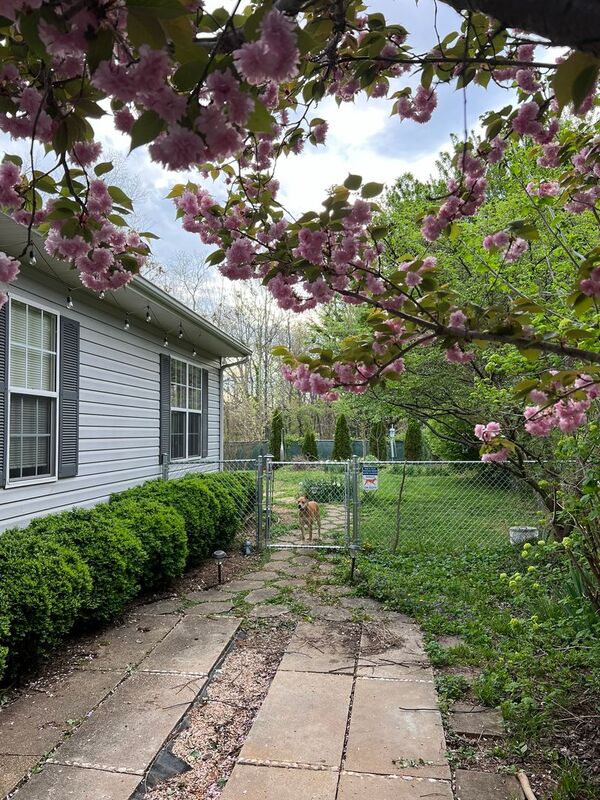 Charlottesville House: 504 9th St SW