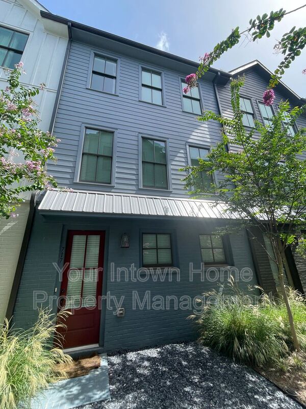 Atlanta Townhome: 717 Perch Place