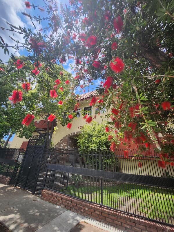 Los Angeles Condo: 425 North Hobart Blvd - 101