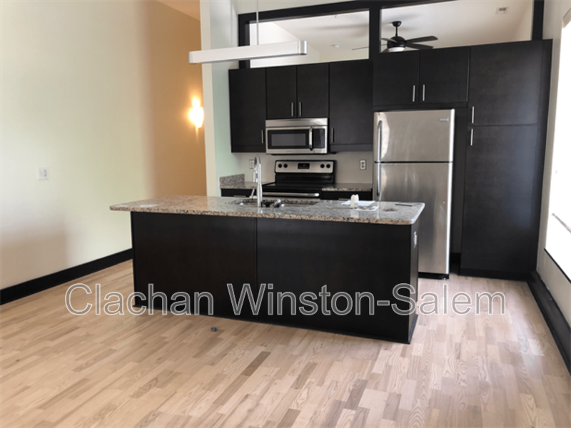 Winston Salem Condo: 50 West Fourth Street