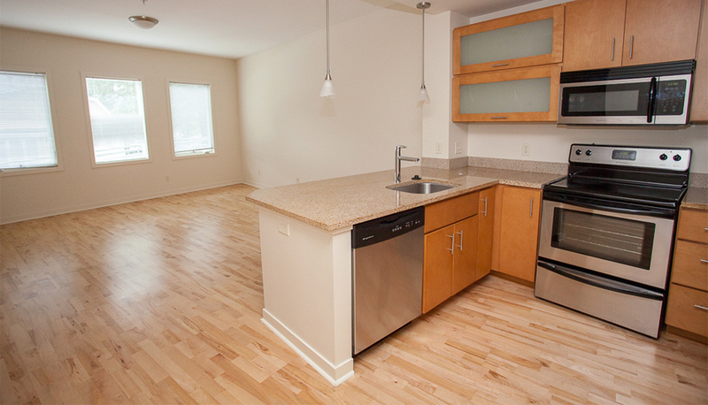 Harrisonburg Condo: 242 East Water Street Suite 106