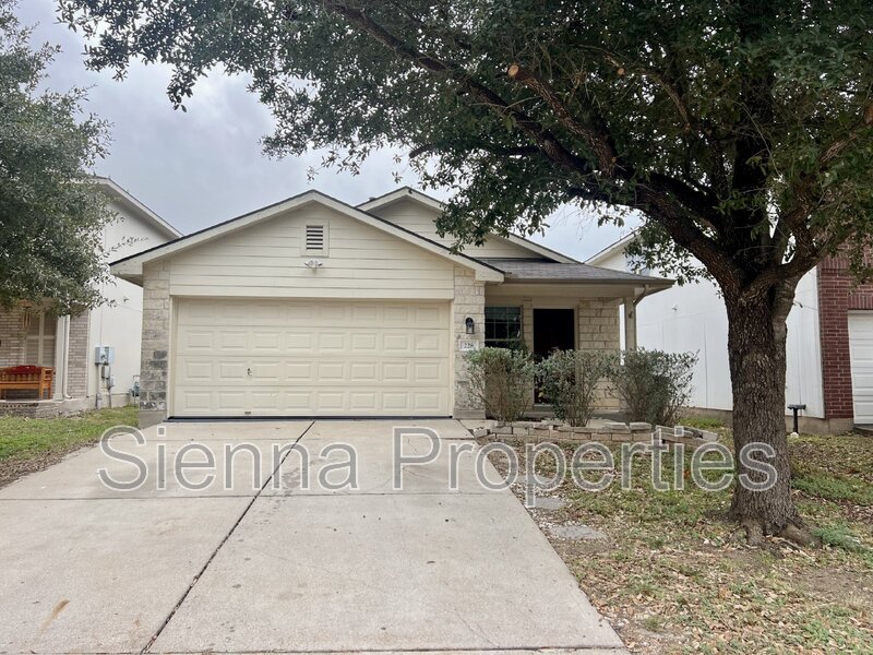 Buda House: 228 Black Forest