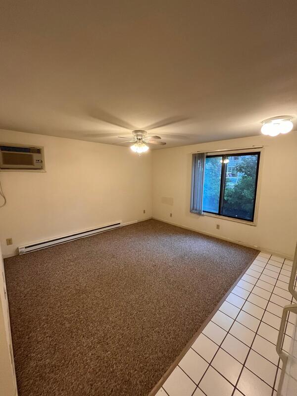 Madison Condo: 134 E Johnson - Unit 205