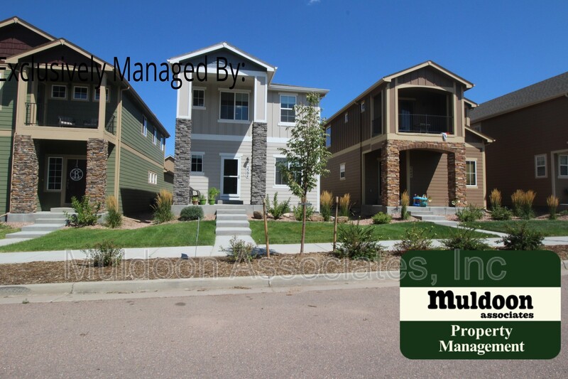 Colorado Springs House: 2394 Falkirk Dr