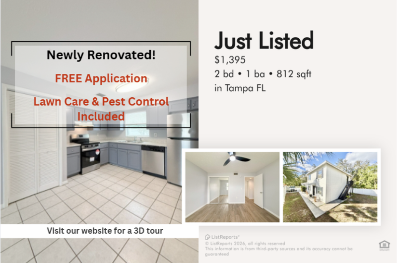 Tampa Condo: 11705 North Drive - B